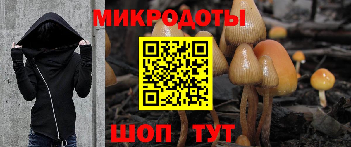 Псилоцибиновые грибы Cubensis Екатеринбург